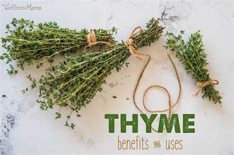 Thyme Uses & Benefits | Wellness Mama