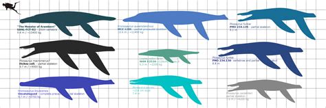 Livyatan melvillei v Carcharocles megalodon - Page 25 - Carnivora