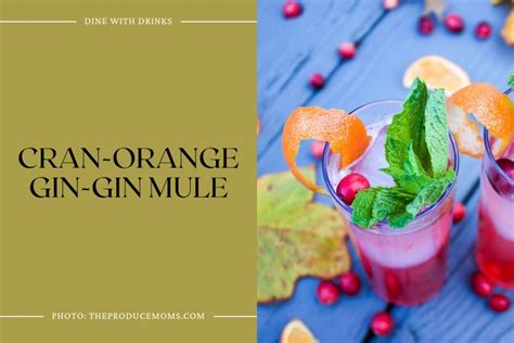 25 Orange Gin Cocktails That Will Make Your Taste Buds Sing ...