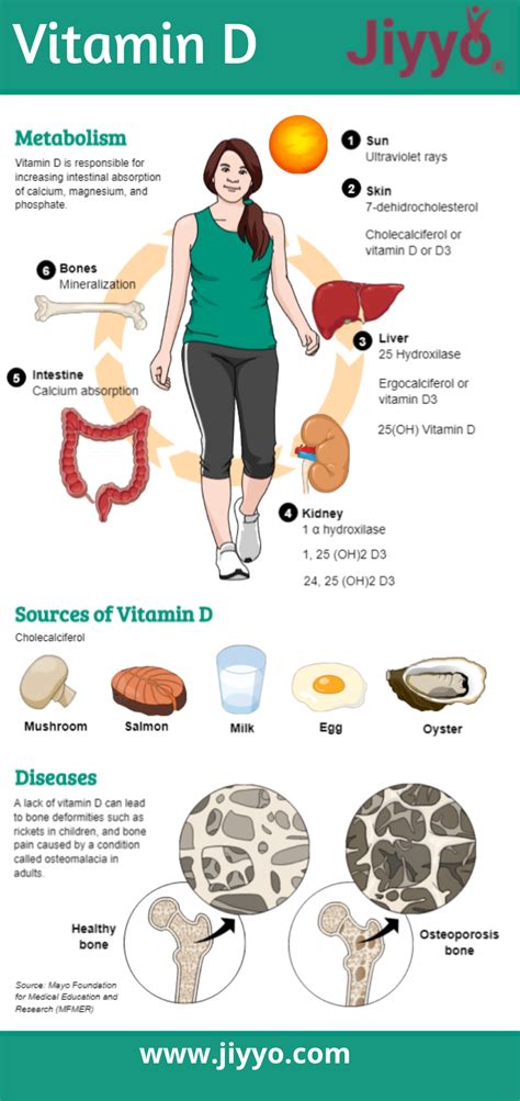 Just like every other vitamin, Vitamin D is also equally important for ...