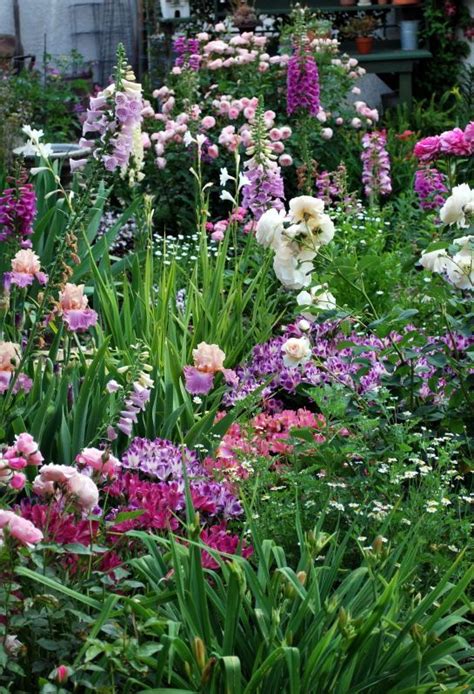 Perfect cottage garden color combos. Garden Design | Iris garden ...