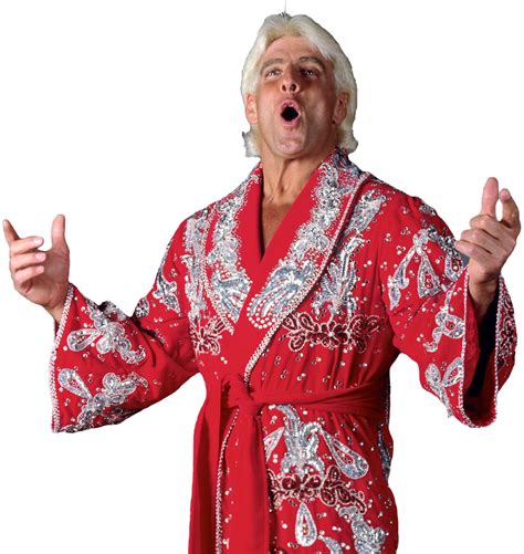 Ric Flair by ericjustin81 on DeviantArt