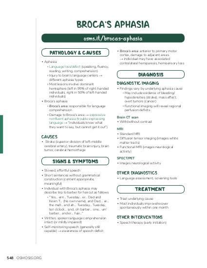 Broca aphasia: Video, Causes, & Meaning | Osmosis