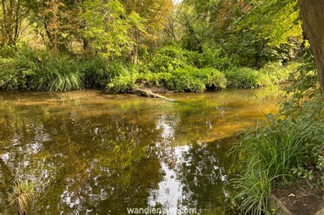 Morden Hall Park Walk - A Place to Enjoy the River Wandle