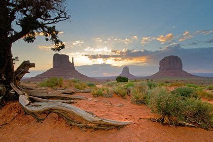 Plateau - The shape of the land, Forces and changes, Spotlight on ...