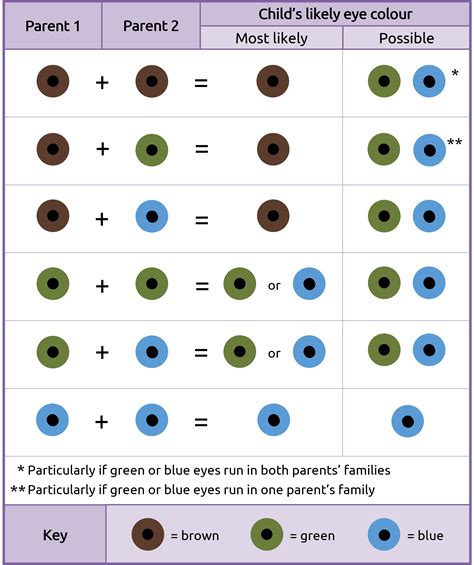 Will My Baby Have Blue Eyes: A Genetic Explanation & Eye Color Chart ...