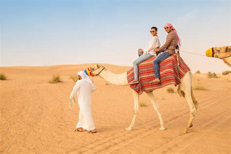 The Dubai Desert Safari Experience - Desert Safari Attraction - GoFly Tour