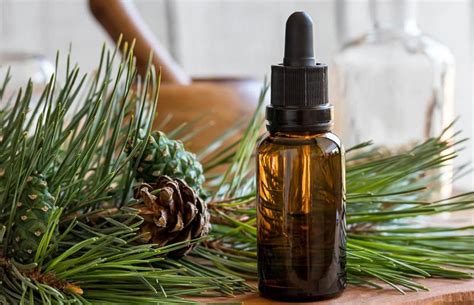 Using Pine Oil Cleaner for Your Home | LoveToKnow