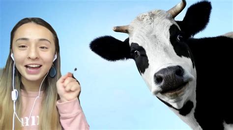 Cows go Moo! - YouTube