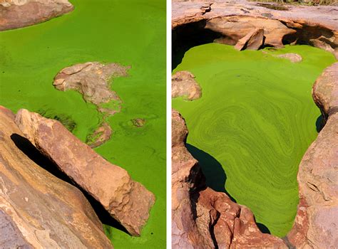 Where Life Began? Matsieng Footprints in Botswana - The Gate