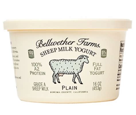 Bellwether Farms Plain Sheep Milk Yogurt, 16 oz - Kroger