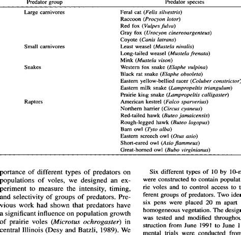 -Potential predators of voles observed at the Ecological Research Area ...