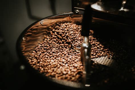 Shallow Focus Photo of Coffee Beans · Free Stock Photo