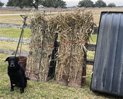 How to Hunt Snipe with Decoys - Project Upland