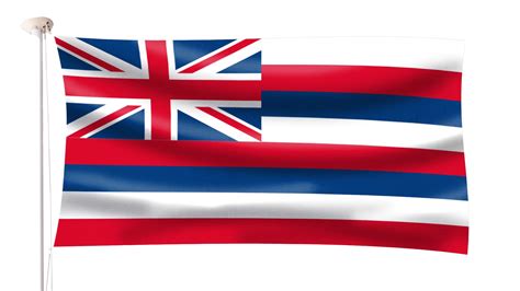 Hawaii Flag | Hampshire Flag Company