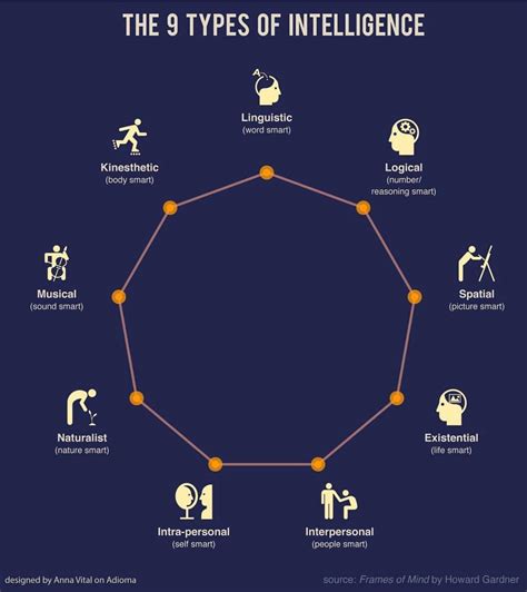 Guide to Different Types of Intelligence (If you know, you know 🧠) : r ...