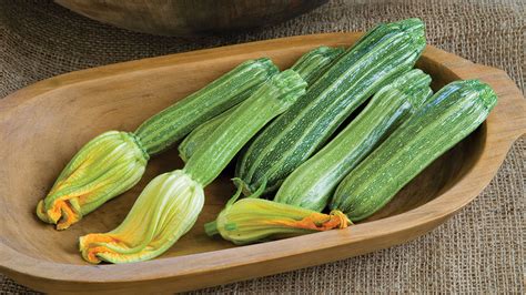 10 Tasty Zucchini Varieties for Your Vegetable Garden - Fine Gardening