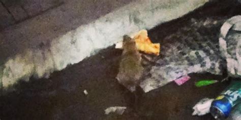 This Photo Of A Rat Eating Pizza On The Subway Tracks Is The Most New ...