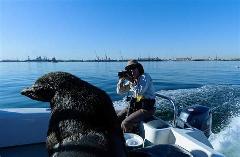 Walvis Bay Guide - Walvis Bay Activities