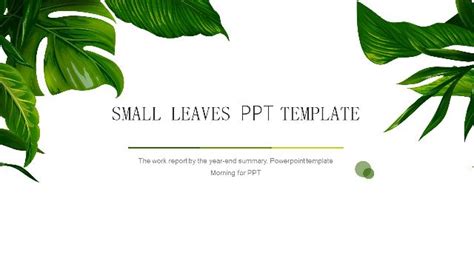 Leaves Ppt Background