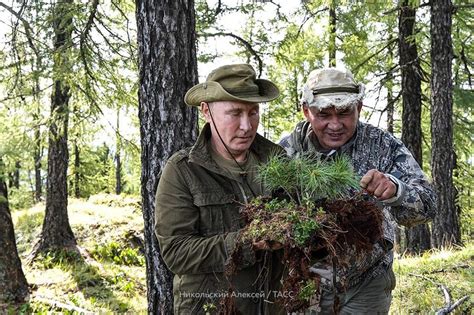 Putin spends weekend hiking and wildlife-gazing in Siberia (PHOTOS ...