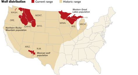 graphic: Gray wolves’ history and recovery - Data Desk - Los Angeles Times