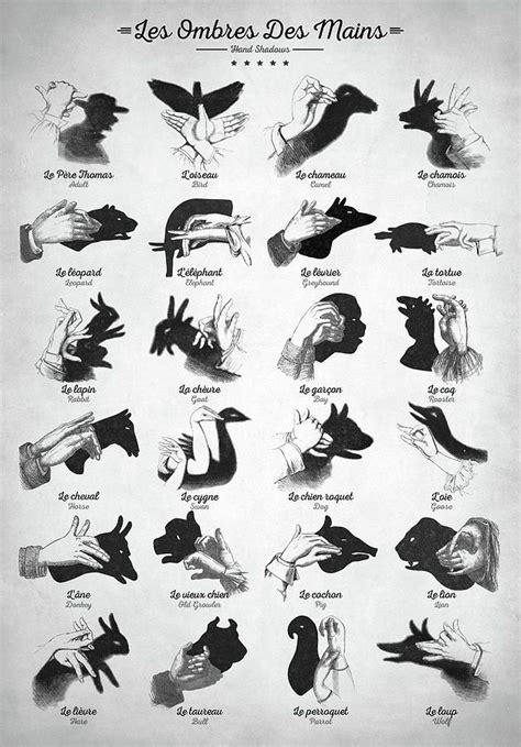 Pin by LoliKotek on Caravan Trip planning | Hand shadows, Shadow ...