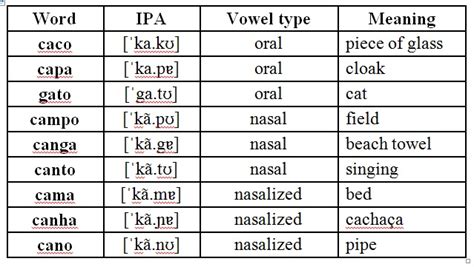 VARIATION IN NASALITY BETWEEN NASAL AND NASALIZED VOWELS IN IN ...