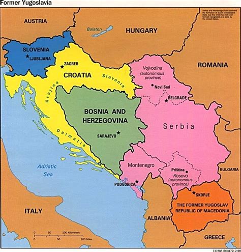 Bosnian Genocide