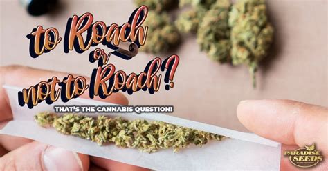 To Roach or Nor To Joint Roach? That’s the Cannabis Question ...