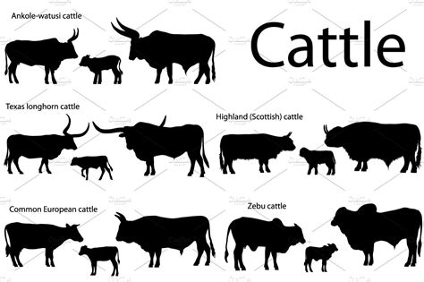 Silhouettes of cattle | Pre-Designed Photoshop Graphics ~ Creative Market