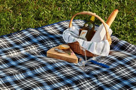 Royal Blue Plaid Outdoor Picnic Blanket & Reviews | Joss & Main