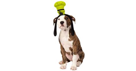 Goofy Dog Halloween Costume | Disney Halloween Costumes You Can Buy For ...