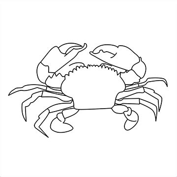 How To Draw A Crab Step by Step- [12 Easy Phase]