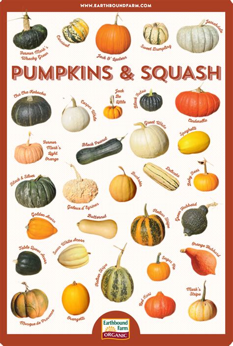 Ready for Fall and all things pumpkin? Do you know what variety you ...