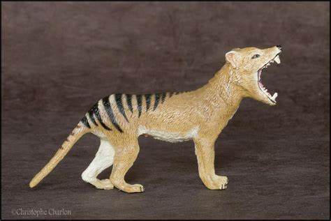 Southlands Replicas Thylacine (the toy) walkaround by Kikimalou