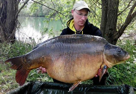 Carp fishing Normandy France with accommodation - Lamber Lake