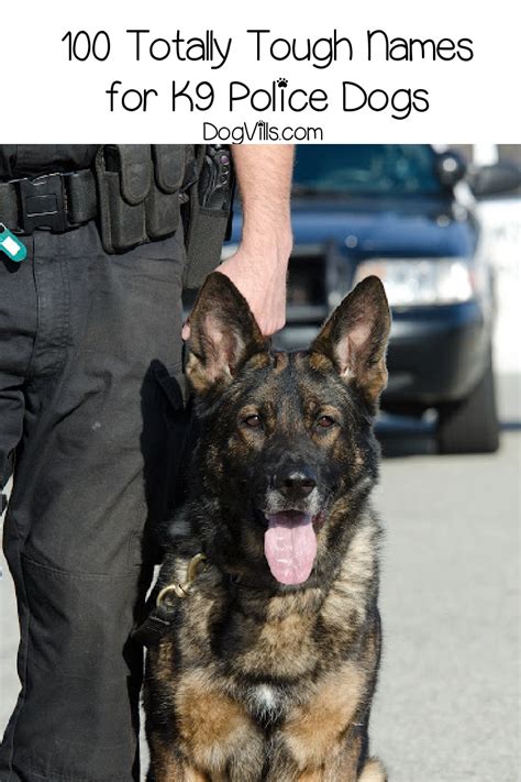 100 Totally Tough Police Dog Names - DogVills