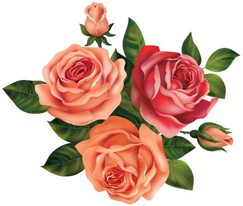 free clipart roses 10 free Cliparts | Download images on Clipground 2024