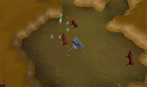 Osrs cave horrors cannon spot