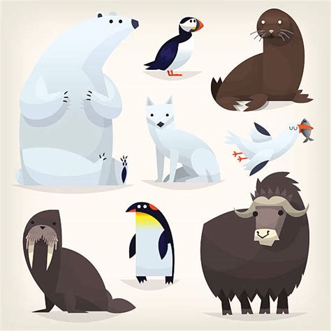 Tundra Illustrations, Royalty-Free Vector Graphics & Clip Art - iStock