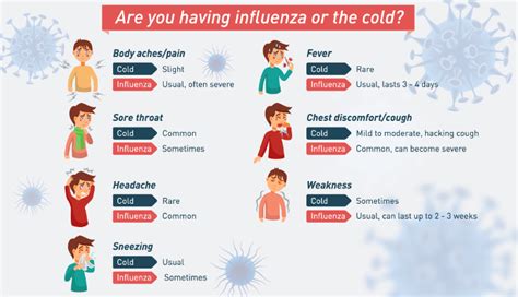 Influenza A Virus Malaysia - 13:21 mayo clinic laboratories ...