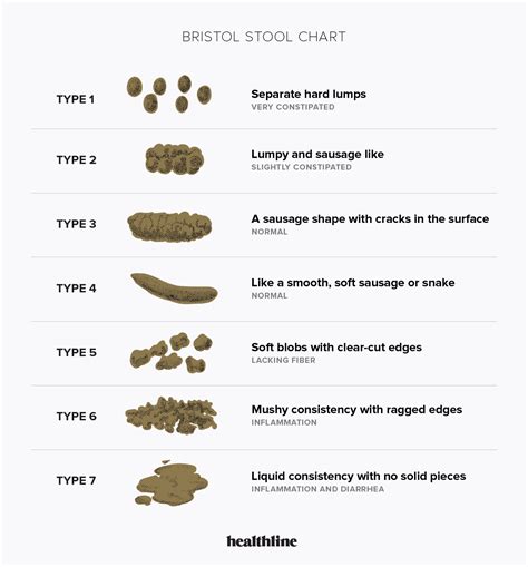 Pebble Poop: Causes, Remedies, and When to See a Doctor