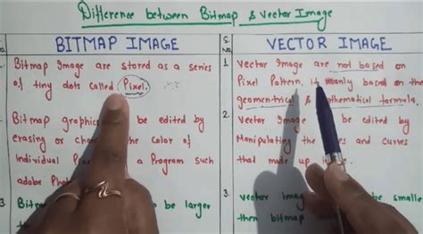 Difference between bitmap and vector with table