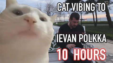 Cat Vibing To Ievan Polkka 10 Hours | Cats, Cat gif, Memes