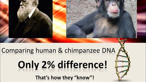 Human and Chimpanzee DNA Compared - YouTube