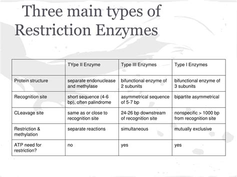 Types Of Restriction Enzymes