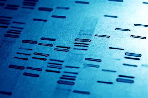 DNA Sequencing and Profiling - The Officious Bystander