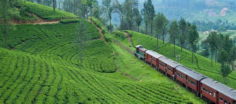 Train journeys in Sri Lanka | Red Dot Tours