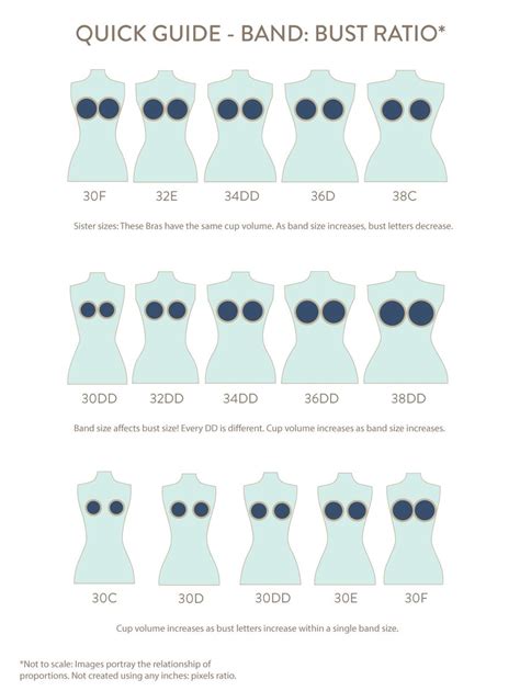 Different Bra Cup Size Chart